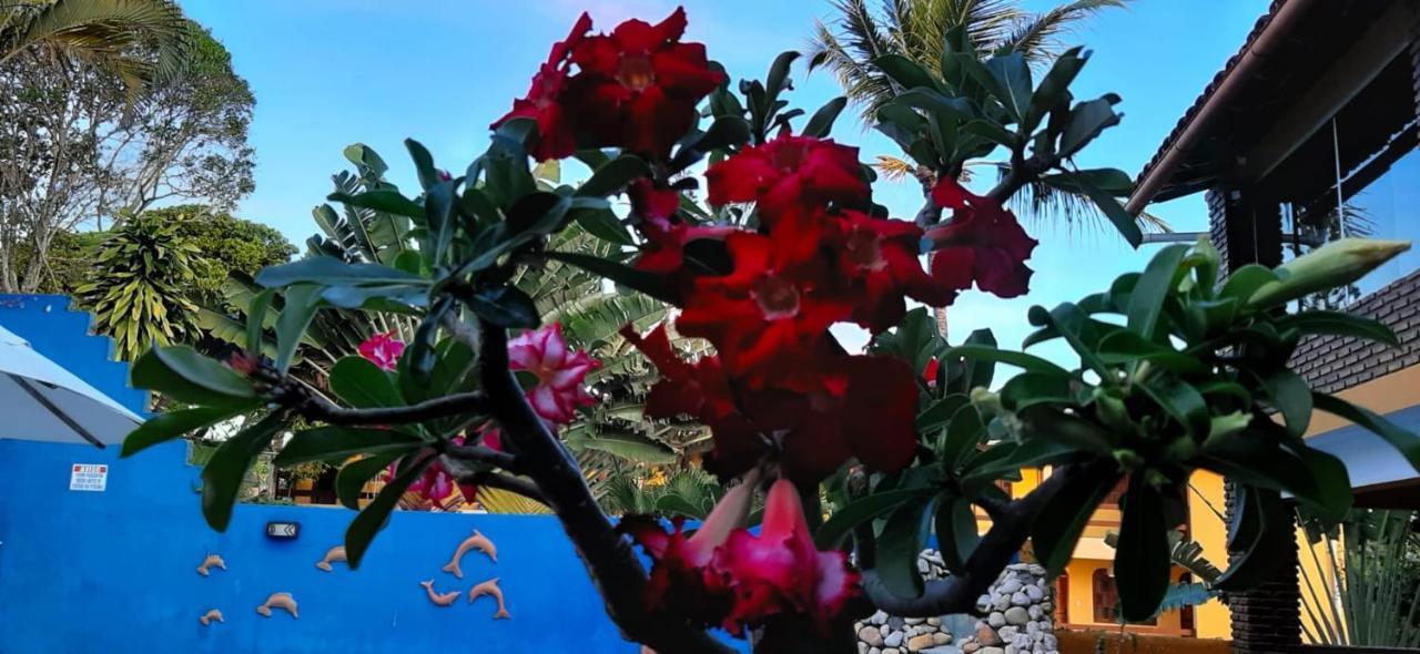 Pousada A Flor Da Terra Porto Seguro Bagian luar foto
