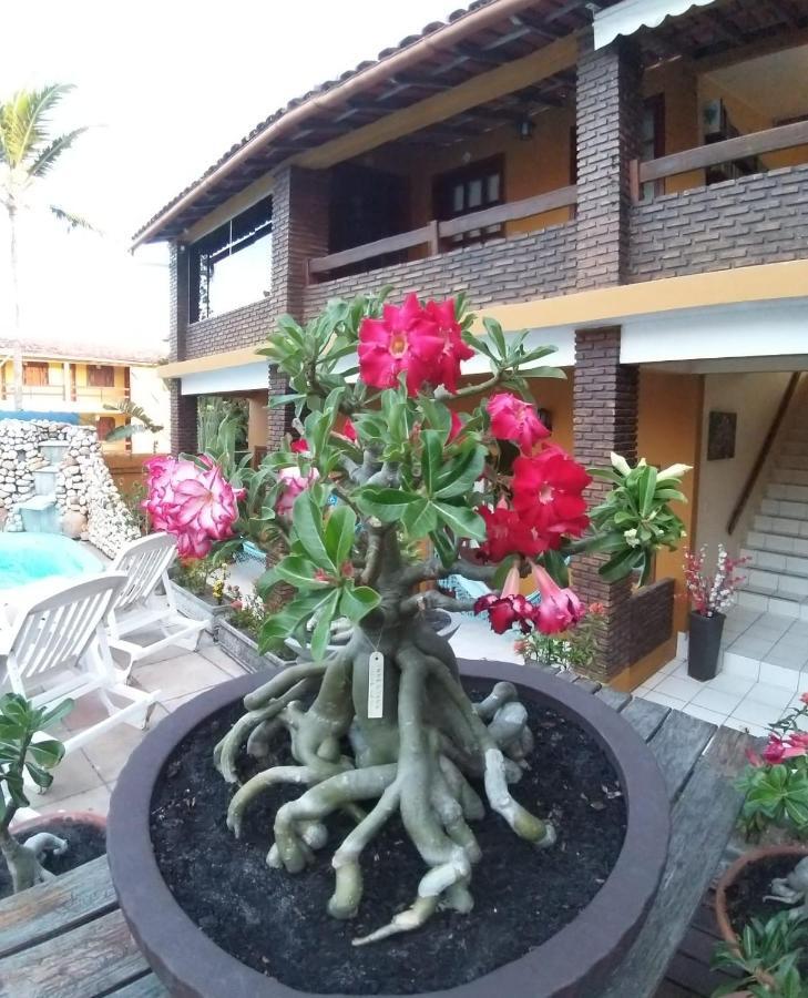 Pousada A Flor Da Terra Porto Seguro Bagian luar foto